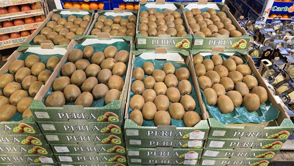 Kiwi Hayward cal.20 - Italia - 2,40 euro al chilogrammo